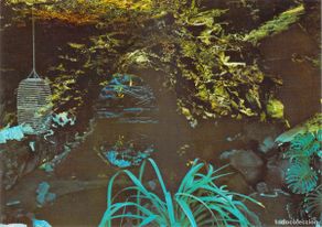 Postales: Postal de Jameos del Agua, Lanzarote, Islas Canarias